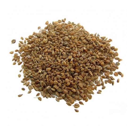 Kereviz Tohumu 100 gr Kereviz Tohumu 100 gr